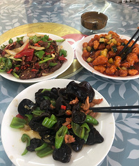 ��ʴ���-����������-���