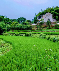 ȥһз࣬ˮԵҪǮĺõط