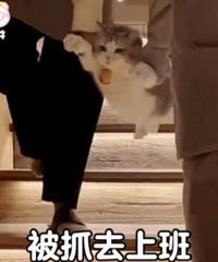 ��629ֵ����֪ζ���̶���2��9���ñ�ʪ��ֽ��ʾ�6��39