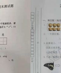 重庆主城各区小学期末考试卷汇总,来看题难不难