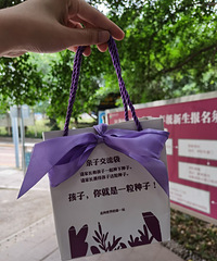 玉带山小学北校区幼升小报名成功,建议最好全产权