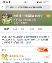 星湖学校上微博热搜了,楼顶种6600平米向日葵