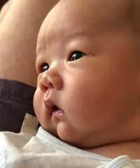 [ʵ��]1-3���±�����Ϊ�ο�����ϸ�����ص㣬���ְ��蹥��