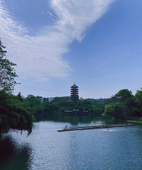 车程短,全免费的公园逛起来+【夏季遛娃】