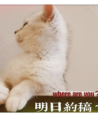最近开始练习procreat,还在期末学习培训中