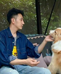 ��ķ�ݻ��ܺ����������ٻ�������