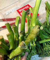 ɽķ�����������ۺ������������������������