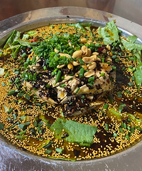 ���Դ����ָ����ġ����ֺš�������ζ���Է�������