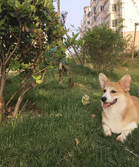 130Oƽ㿪װ30켫ɵļ