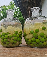 我的生活堪称“向往的生活”重庆版