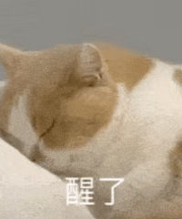 ��7.6ֵ���򡿻�����ĭȾ����49�������㶫������10��34