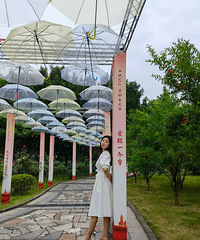 91167CMй˾ķ飬뵽25