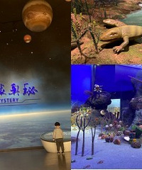车程短,重庆免费遛娃地逛起来