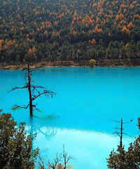 ռǣļһСկ֮Ƶġ¹