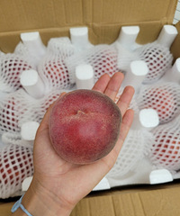 �����ĺ��ҵ��ˣ������֭����ͷҲ�Ƚ��ȳƣ����Ƽ���