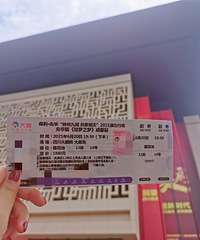 如梦之梦---去见想见的人啊
