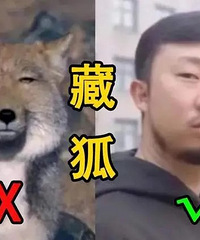 @������־ ���������