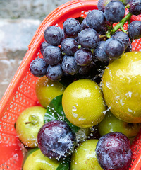 ˣ���조��կ����ժ�������ѣ������ĩ�찲������