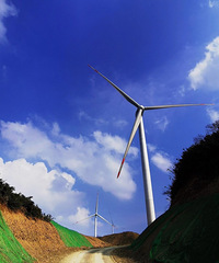 90��158CM��ͥ�޸������������飬����Ȧ�ӱȽϼ�