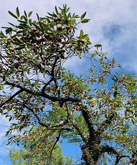 ռǣҴСǴƷѧŵı˼ҵĺֽ