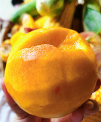 ���ǳԻ��ҵ�ʱ�������Ļ������˳Թ���