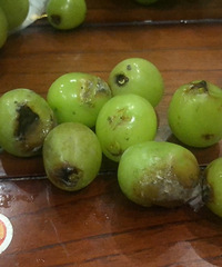 ����̨˽�ҳ�938�������õ�壬��Ȼ���������