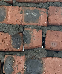 ǿѵשǽĹߣû˯žǽô