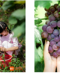 ֵĺüڣźӣȫһܲժĿ