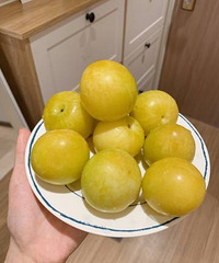 СredƼӵĺܶ࣬Ҳˣþϲ