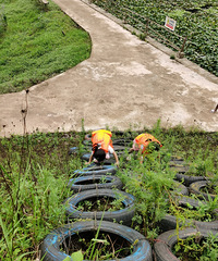 ��ɽ��˹��԰������29.9�Լ۱ȳ��ߵĿ���