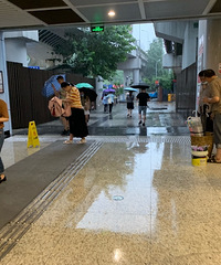 高峰时单独划分女性专用车厢实际吗