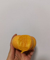 一家人都是桃子控!蟠桃、黑桃、黄桃都买了,来说说真实口感