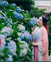 但闻你来,芳华已缱绻-绣球花无尽夏
