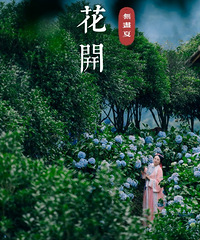 但闻你来,芳华已缱绻-绣球花无尽夏