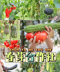 ������������ʵ�滶��ũ��