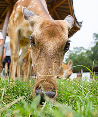 ι÷��¹��ץѼ�ӡ�������������ɵط���ˣ�ºö�