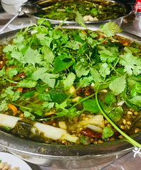 ǽƼܱ2hڳ̵5Aڵķޡ