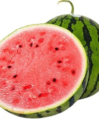 ����������һֻ�������ϣ�����͵͵������