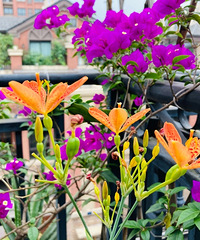 138ƽļҺÿȻס2꣬仯ľ¶̨