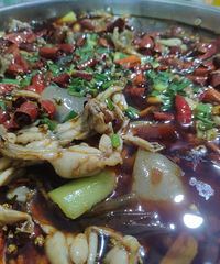 ��˫�����ϲ�Ӭ���ӣ�һ�����Ի��Ǻܰ���