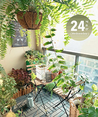 3໻ȫľذ壬һװҾͺ