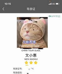 88161CM15С飬ϣԷ̤ʵ