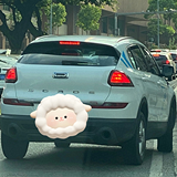 我的全责,你咋跑了?