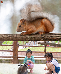 ��������֣�סɭ�־Ƶ���ޱ�Ӿ��