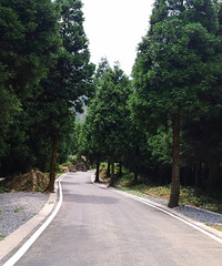 Ҥɭֹ԰¶ӪԽԽˣ˵˵ڵ