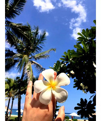 86��160CM����ֻ����С������飬���ȿ�����С����