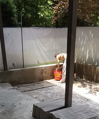 230ƽµ³ʽ԰+أ԰שֵ߻