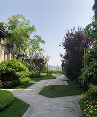 山վߵ¥̶ˣСϹζԾ