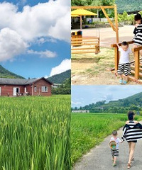 带家人来这里小住,风吹麦浪太治愈了!