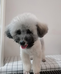 һ���ɫ���������